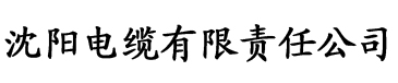 久久久亚洲AV波多野结衣电缆厂logo